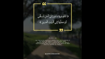 سورة الحج الآية 33      #آية #القران #duet #اكسبلور #الصلاه