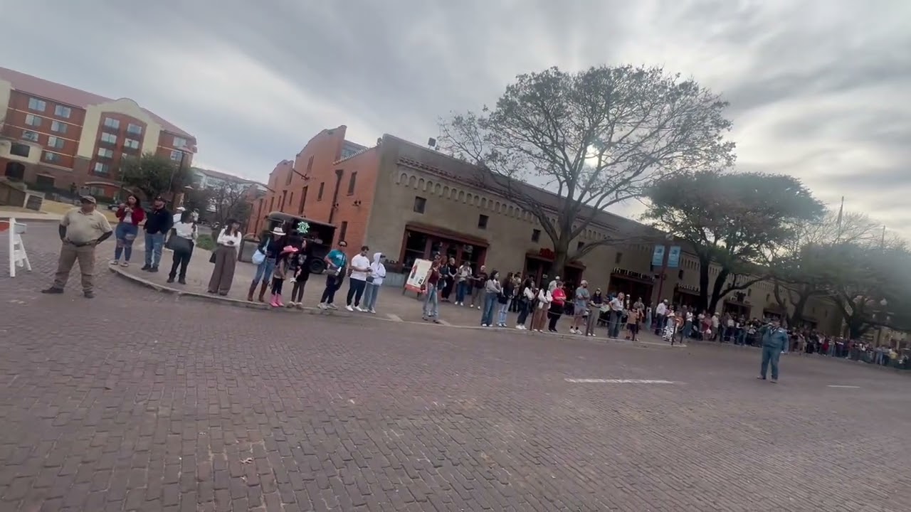 Fort Worth Stockyards January 8th 2026 沃思堡牧場2026年1月8日