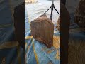 Meilleurs moments de la diffusion en direct
