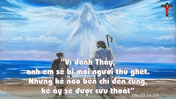 ✠ Tin Mừng - Thứ Sáu Tuần XIV Thường Niên - Kính Thánh Elizabeth BĐN (Mt 10,16-23)