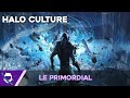 Halo culture  lhistoire du primordial