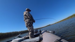 картинка: жёсткие удары судака 🐋🎣📽️#рыбалка на Дону открытие сезона #дон #fishing #судак #рыба #осень #кайф 