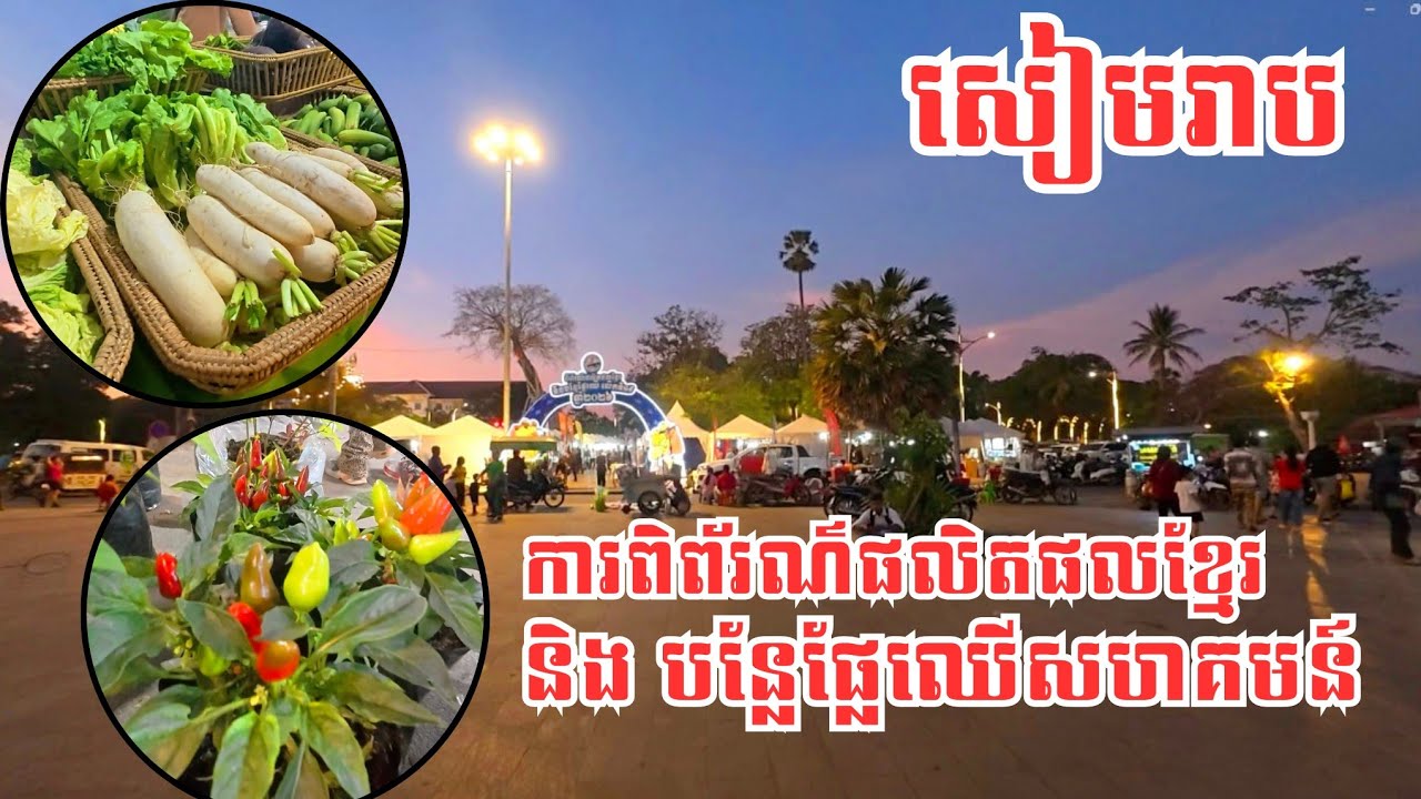 ពិព័រណ៍ផលិតផលខ្មែរ និងបន្លែផ្លែឈើ កសិករសហគមន៍ | Community Vegetables and Made in Cambodia Products