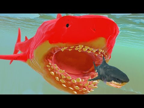 Video: Pobouření Nad Synchronizovanou Rybou čínského Kouzelníka