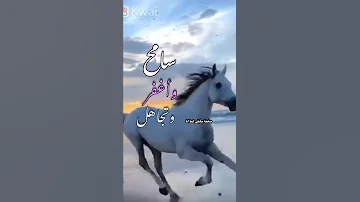 تعلم من الاخرين التسامح 