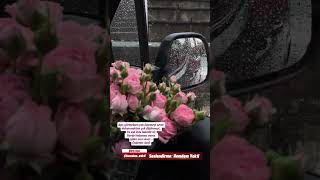 Şk Iz Üzün Özler