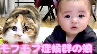 ㊗初ずりばいする赤ちゃんと狙われる猫　スコティッシュフォールド