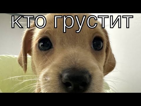 кто грустит...mp4 - YouTube