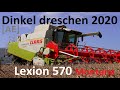 Claas Lexion 570 Montana beim Dinkel dreschen 2020 - Spelt harvest in germany - Alex E AE