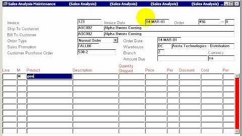 DYNAMIC 3i Free Edition ERP tutorials - loading sales data