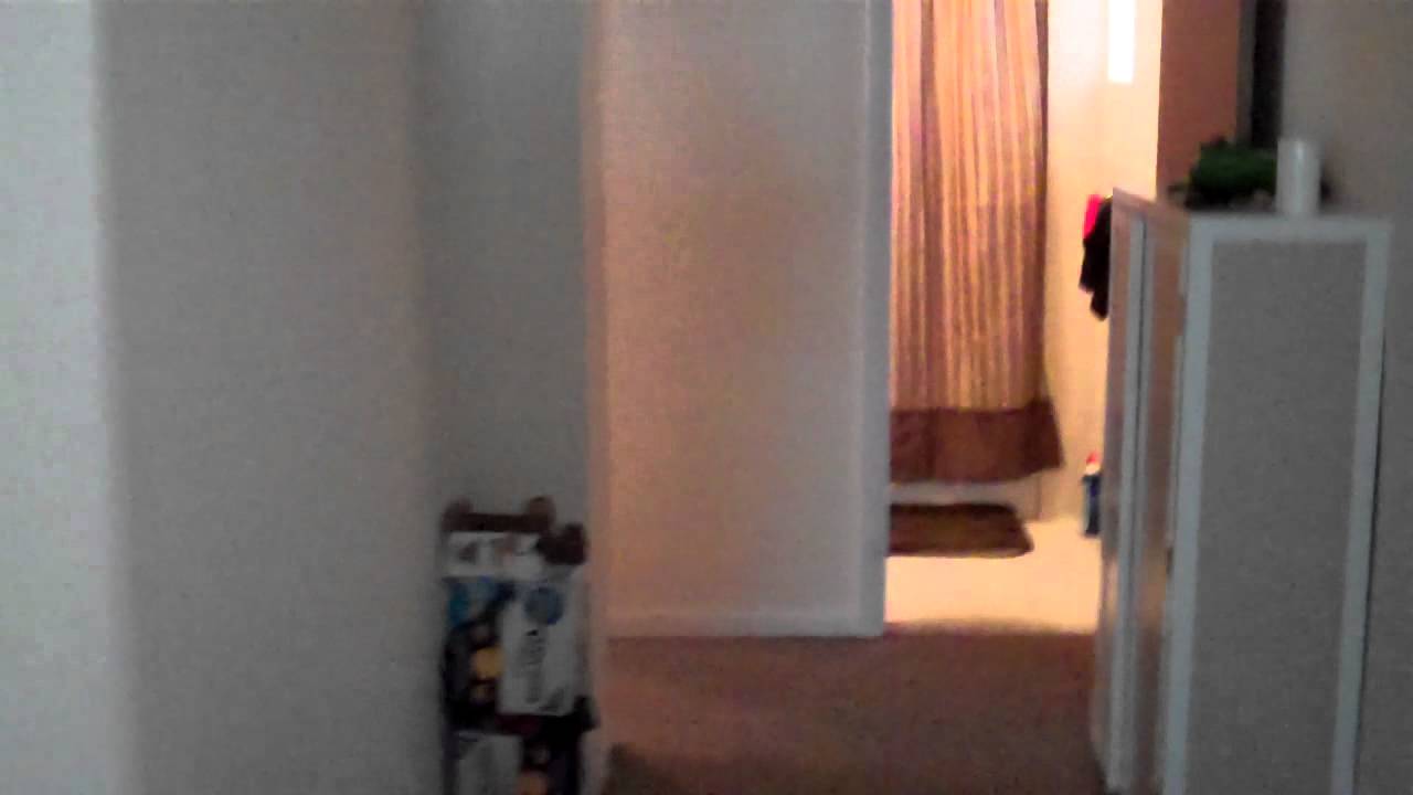 2849 Harrington Ave Apt 1, Bronx, NY 10461 YouTube