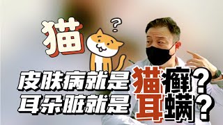 得了猫癣！耳螨！怎么办？如何治疗？！超详细科普！轻松判断！最快搞定得