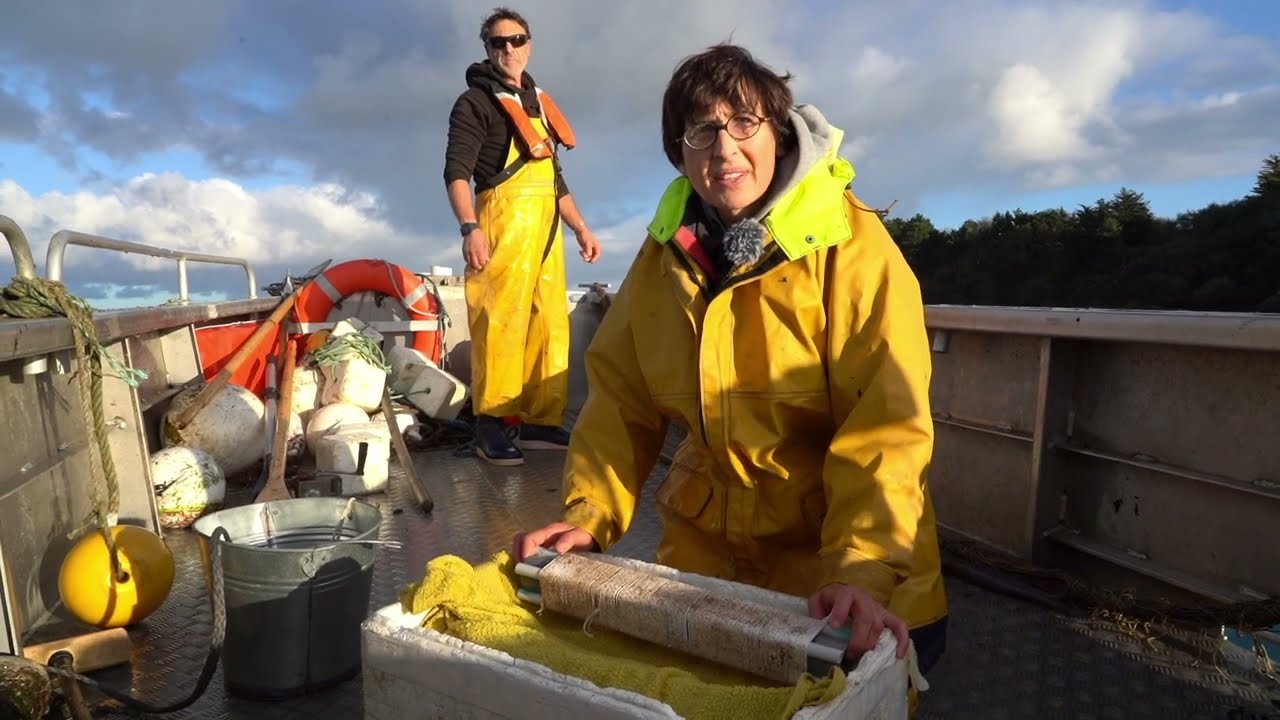 Profession: algoculteurs!