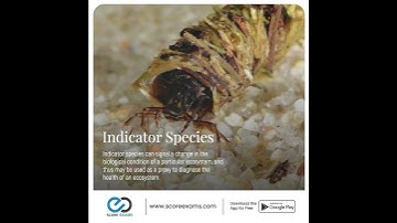Indicator Species