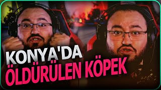 Jahrein Konya‘da Barınakta Yaşananlar Hakkında Konuşuyor
