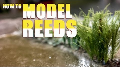 How to Model Reeds