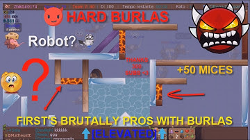 Transformice - FIRST