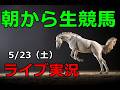中央競馬【競馬実況】　生配信！！（新潟、京都、東京）