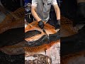 Massive Giant Eel Cutting Skills Shorts 
