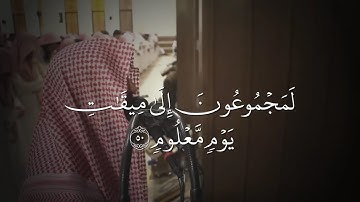 سورة الواقعة كاملة بصوت محمد اللحيدان #محمد_اللحيدان #ياسر_الدوسري #عبدالرحمن_مسعد #قرآن 