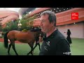 LIVE STUDIO - LGCT Grand Prix Shanghai 2025 - Pre Studio