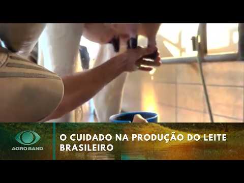 From Farm to Table: The Journey of Milk | Agro Band