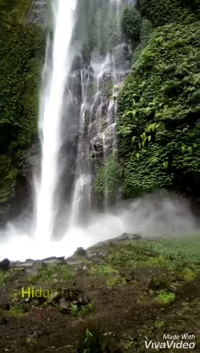 Status Wa Air Terjun