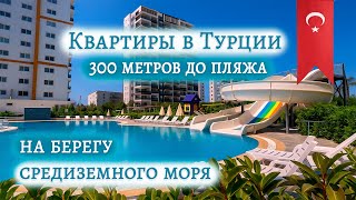 :         ,   300   