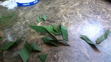 making soap from yucca leaves in less than 5 minutes