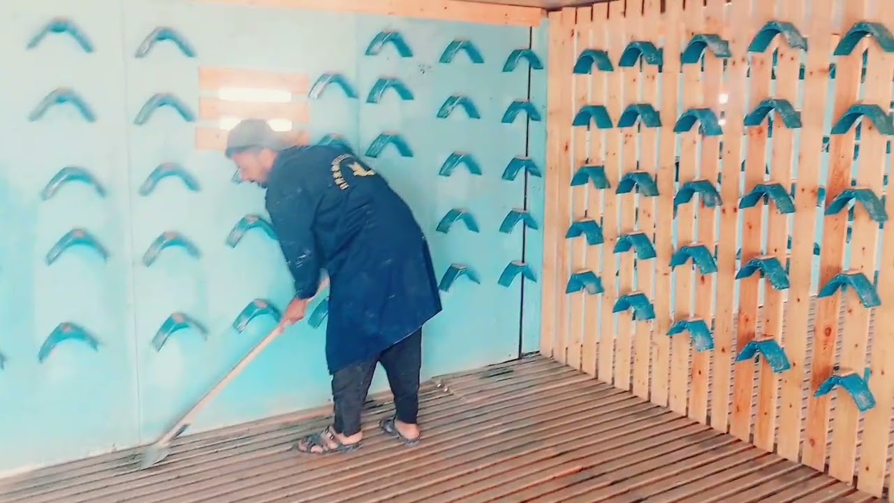 النقاط الدولية هي ميدان لإثبات الكفاءة، وليست مكاناً للمجاملات. 