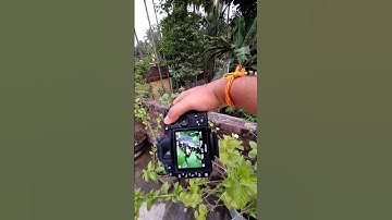 How to blur background on DSLR Camera 📸🔥#shorts #ytshorts #photography #viral