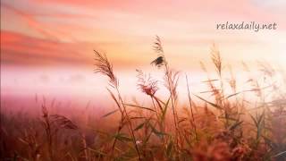 Background Music Instrumentals relaxdaily B Sides N°1