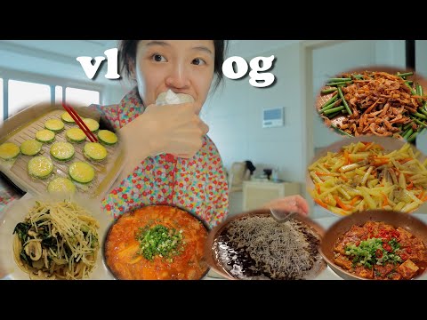 VLOG 본격 요리에 미치게된 15주 임산부 일상 (살짝 광기 주의)🍝