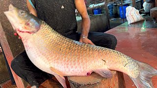 Unbelievable!! Giant Carp Fish Cutting Live In Fish Market | Fish Cutting Skills