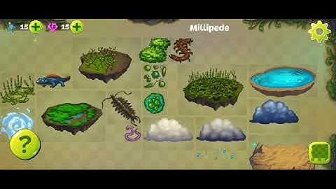 Alchemy Universe | Fern Grass