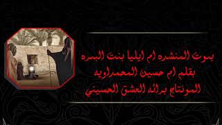 ملايه بصراويه صوت راقي حزين لطميه للسيده رقيه ع/مربعه/المنشده ام ايليا بنت البصرة القصيدة بالوصف