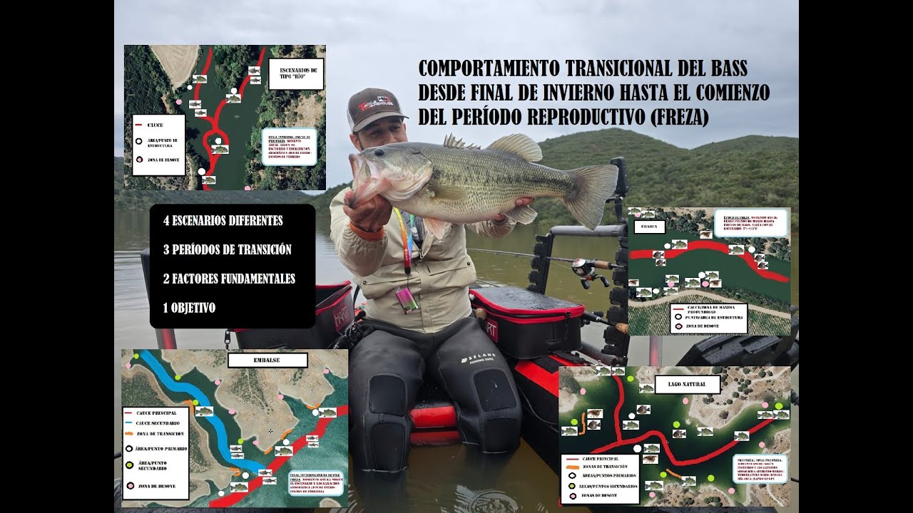Comportamiento Transicional del Bass desde Final de Invierno hasta Comienzo del Período Reproductivo