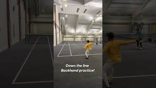 Is this the most satisfying shot in tennis?      #tennistraining #backhand #practice