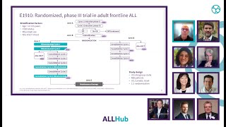 Consolidation therapy in newly diagnosed adult patients with Ph-negative B-cell ALL