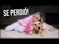 MI PERRITA SE PERDIÓ 💔🥀