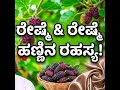 Silk Worm 60 Seconds Mein Cocoon Banata Hai, Jaaniye Kaise #shorts #science