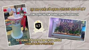 PURIGEN quan trọng như thế nào cho HỒ CÁ ?| CẤU TẠO CÔNG DỤNG VÀ SO SÁNH PURIGEN | KINGTANK AQUARIUM