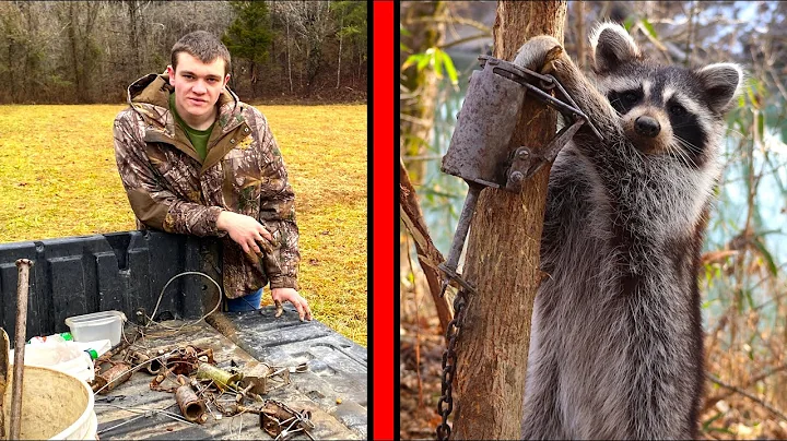 We trappin raccoons today