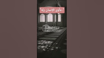 آيات من القرآن الكريم ☪️💓 #القرآن_الكريم #اكسبلور #المصحف #تيك_توك #الرحمن #آيات #القزابري #دويتو