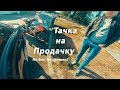 Выбор бу автомобиля   Тачка на Продачку часть1.