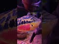 My Most Underrated Fish *Link to Full Video Below!*