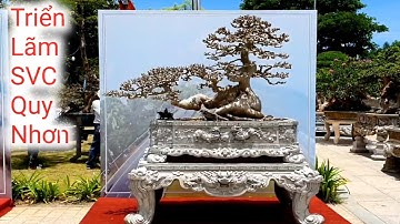 Triển Lãm Sinh Vật Cảnh Quy Nhơn Bình Định (2) Mở Rộng Lần Thứ VIII Năm 2022.