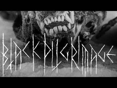 Black Pilgrimage - Contaminated By Evil  (Official audio)
