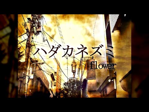 ハダカネズミ / flower