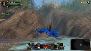 Neverwinter PS4/XBOX/PC - OUT OF THE MAP GLITCH! Protectors Enclave!
